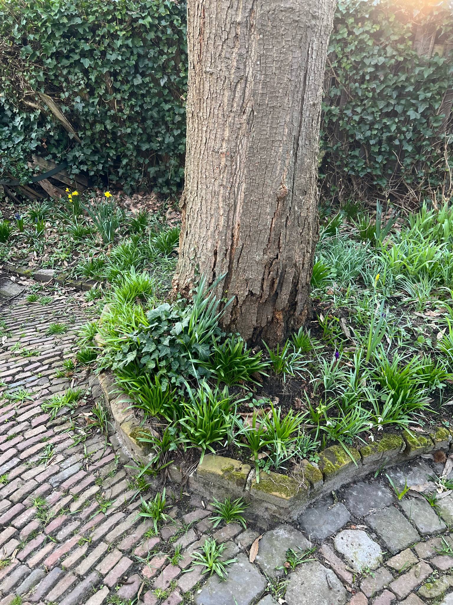 afbeelding-20230316-170234-7f46931a